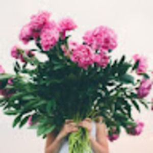 Meet your Posher, Petra